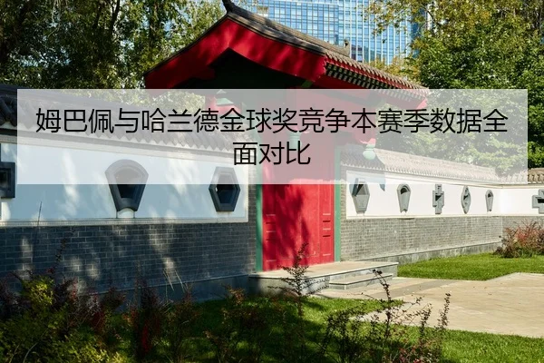 mu-ba-pei-yu-ha-lan-de-jin-qiu-jiang-jing-zheng-ben-sai-ji-shu-ju-quan-mian-dui-bi-2-331.jpg
