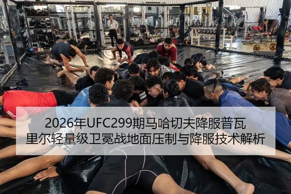 nian-qi-ma-ha-qie-fu-xiang-fu-pu-wa-li-er-qing-liang-ji-wei-mian-zhan-di-mian-ya-zhi-yu-xiang-fu-ji-shu-jie-xi-3-366.jpg