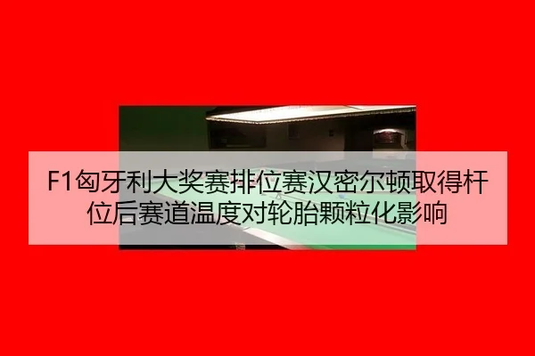 xiong-ya-li-da-jiang-sai-pai-wei-sai-han-mi-er-dun-qu-de-gan-wei-hou-sai-dao-wen-du-dui-lun-tai-ke-li-hua-ying-xiang-2-862.jpg